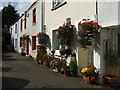 Cottages by the Mwldan stream