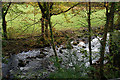 The Afon Artro near Gwynfryn