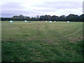 Hay Bales on Breighton Airfield