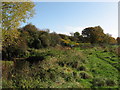 Near Roath Brook