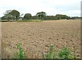 A ploughed field at Kidsdale