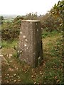 Trig point, Beacon Hill