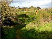 ST4716 : Old quarry workings - Ham Hill by Sarah Smith