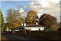 Trees on Courtenay Road, Newton Abbot