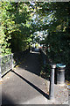 Footpath through Westbere Copse