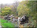 Roadside logpile