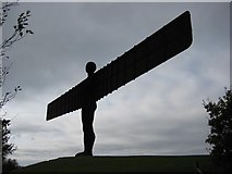 NZ2657 : Angel of the North by Des Costello