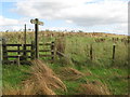 Footpath to Curry