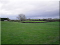 Magherascouse Townland