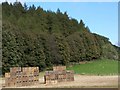 Potato field near Birnam