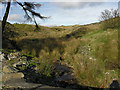 Stream descending from Bryn-pig