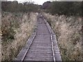 The Shank Boardwalk