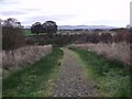 New Plantation at Bellstane