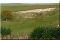 Old chalk pit next to the A338