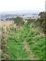 Cateran Trail near  Alyth