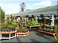 Wyevale Garden Centre in Hare Hatch