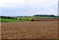 Ploughed Field near Poolestown, Dorset