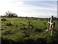 Niblock Townland