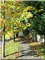 Footpath, Withdean Avenue