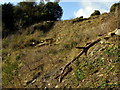 Old mudslide south of Belle Vue Road