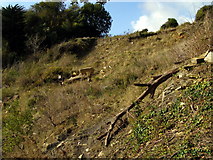 SZ0378 : Old mudslide south of Belle Vue Road by Jim Champion