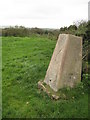 Trig point near West Dizzard