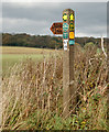 Footpath marker beside B4453, Wappenbury