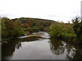 The river Torridge downstream from Taddiport bridge