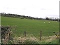 Kilmakee Townland