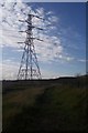 Footpath near Botany Marshes