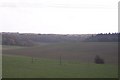 Curving Valley near Park Wood