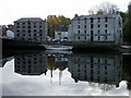 Reflecting on the Teifi