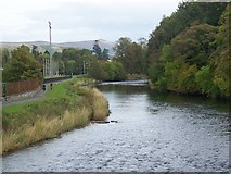 NT2540 : River Tweed from Priorsford Bridge by Maigheach-gheal