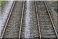 View of the Tracks from Walkers Lane Bridge