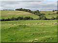 The valley of the River Irthing west of Denton Mains