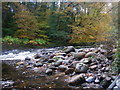 Granite Pebbles in the Dart