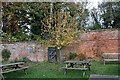 Worcester Black Pear tree, Hartlebury Castle