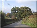 SX8878 : Road leading down to pass Ugbrooke House by Sarah Charlesworth