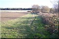 Footpath from Ellenden Farm to Ellenden Wood