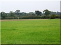 Field and footpath, White Hill