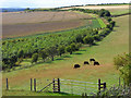 Farmland, Pewsey Hill