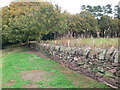 Sandstone Wall on the Sandstone Trail