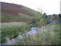 Usway Burn at Batailshiel Haugh Farm