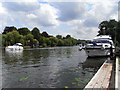 SU8985 : The River Thames, Cookham by Andrew Smith