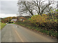 B4392 leaving Cyfronydd