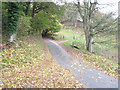 Up the hill from Bwlch Coch