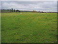 SP6813 : Field and barn by Shaun Ferguson