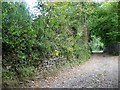 ST7359 : Bridleway, Combe Hay by Maigheach-gheal