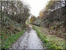 SJ9594 : Trans Pennine Trail by Gerald England