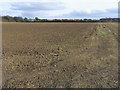 Bridleway to Kingswood Lane